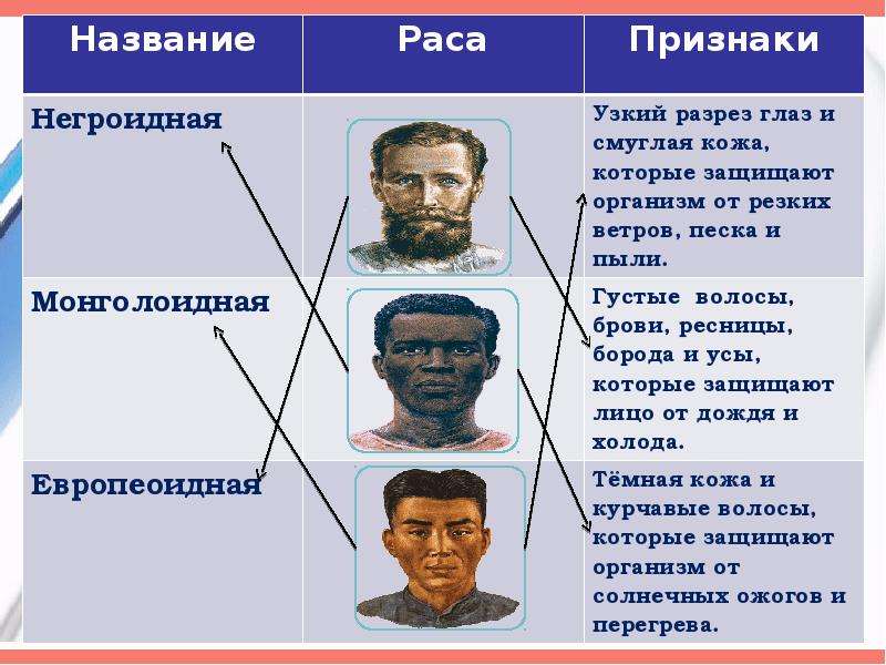 Расы человека презентация 11 класс