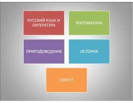 Брейн ринг