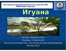Игуана