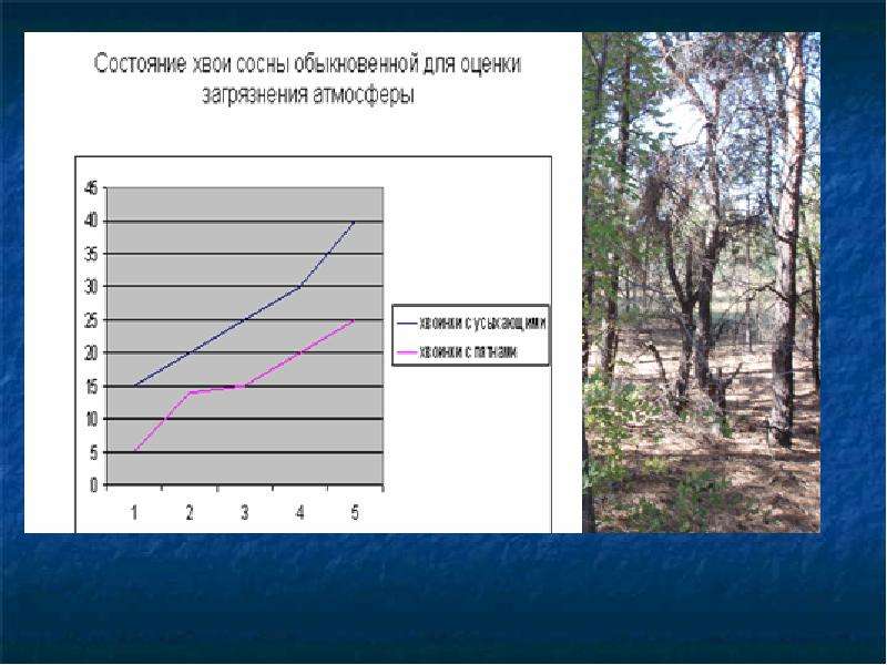 Мониторинг воздействия на окружающую среду