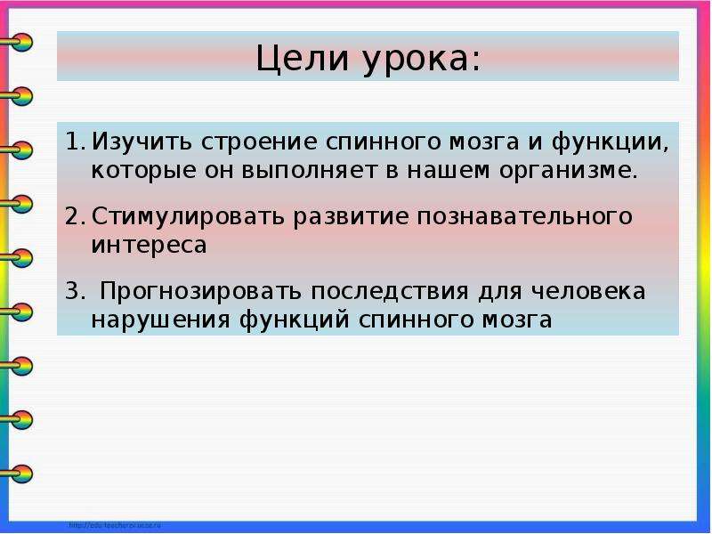 Какие функции выполняет спинной мозг. Презентация на тему спинной мозг. Спинной мозг презентация 8 класс. Презентация на тему строение и функции спинного мозга 8 класс. Вывод по теме спинной мозг.