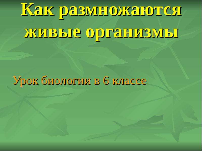 Размножение живых организмов презентация