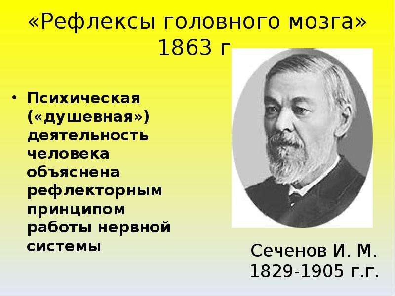 Рефлекторная теория. Рефлексы головного мозга 1863 г. Рефлекторная теория поведения. Концепция рефлекторной деятельности человека.