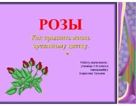 Розы