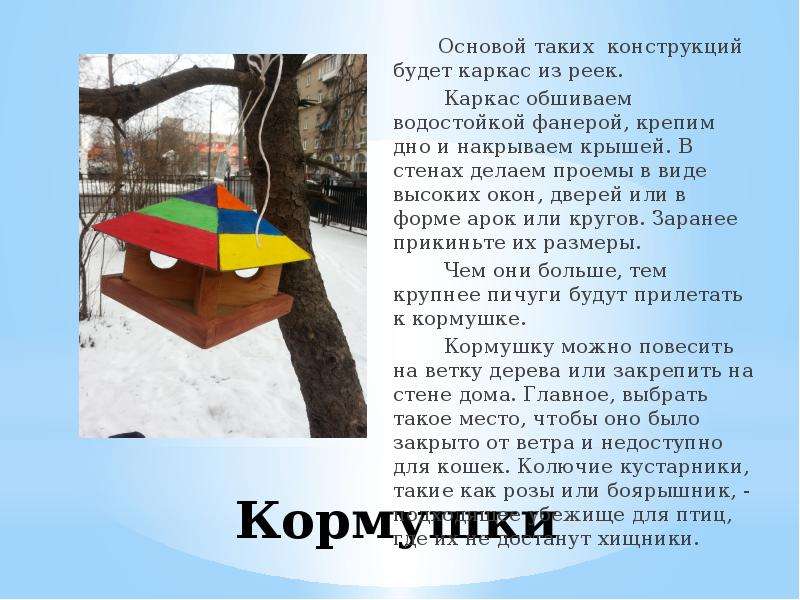 Презентация про кормушку