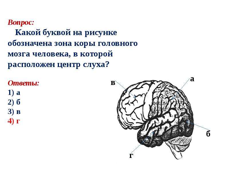 На рисунке цифрами 1 2 3 обозначены соответственно