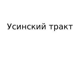 Усинский тракт