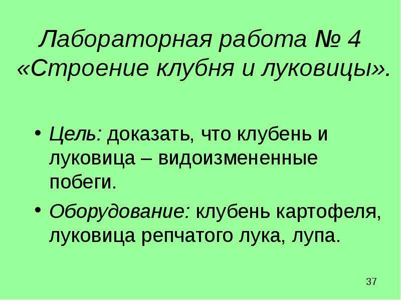 Лабораторная работа строение клубня и луковицы. Клубень и луковица лабораторная работа. Цель лабораторной работы строение луковицы. Строение клубня картофеля лабораторная работа вывод.