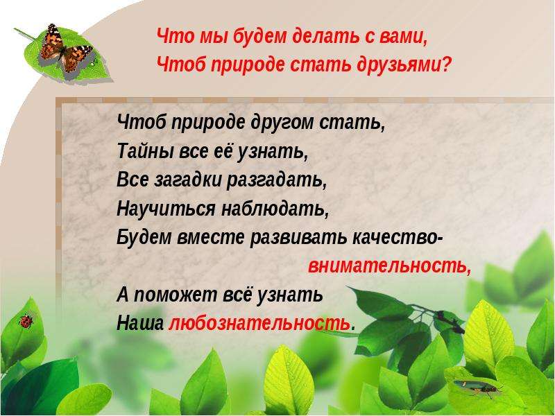 В гости к весне технологическая карта 2 класс окружающий мир плешаков