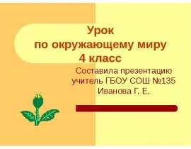 Как нам жить в дружбе с природой?