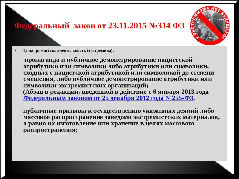 Статья за распространение. Пропаганда экстремизма или символики. Закон о запрете фашистской символики. ФЗ О запрете нацистской символики. Распространение нацистской символики.