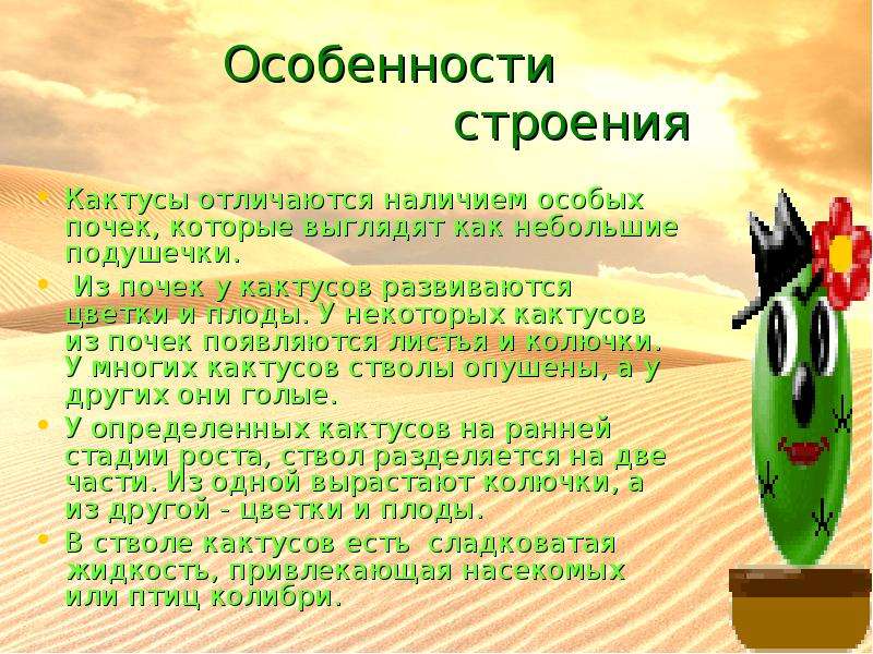 Строение кактуса схема