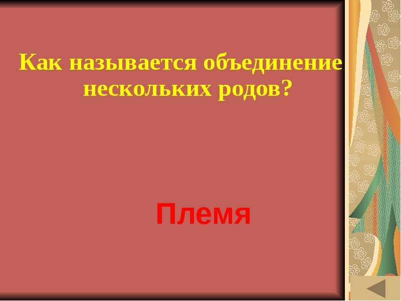 Представляет собой объединение нескольких родов. Как называется объединение нескольких родов.