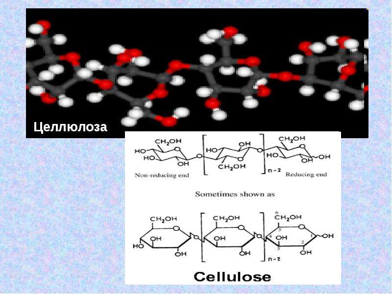 Пары органических веществ. Целлюлоза функции в живых организмах. Биологическое значение целлюлозы. Значение целлюлозы для живых организмов. Целлюлоза органическая химия.