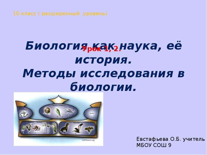 Темы исследовательских работ по биологии. Рамка история биология. Как делать реферат по биологии.