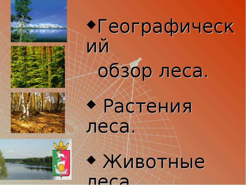 Презентация лесные зоны россии 8 класс полярная звезда