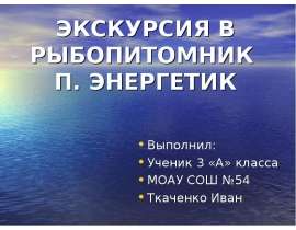 Экскурсия в рыбопитомник п. Энергетик