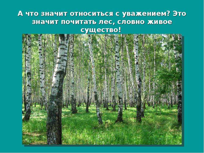 Презентация леса и луга нашей родины занятие в старшей группе соломенникова