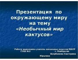 Необычный мир кактусов