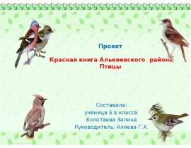 Красная книга Алькеевского района. Птицы