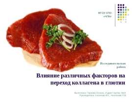 Влияние различных факторов на переход коллагена в глютин