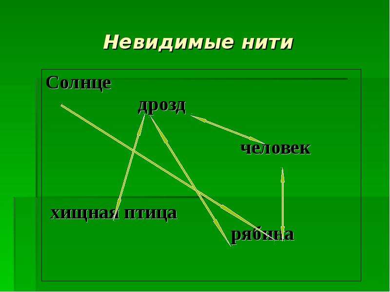 Модель невидимые нити 2 класс