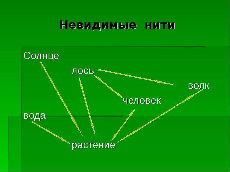 Примеры связей невидимых нитей между животными