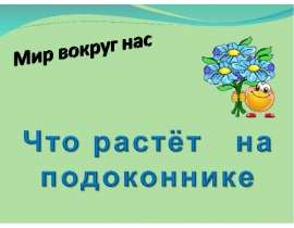 Что растёт на подоконнике (1 класс)