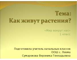 Как живут растения? (1 класс)