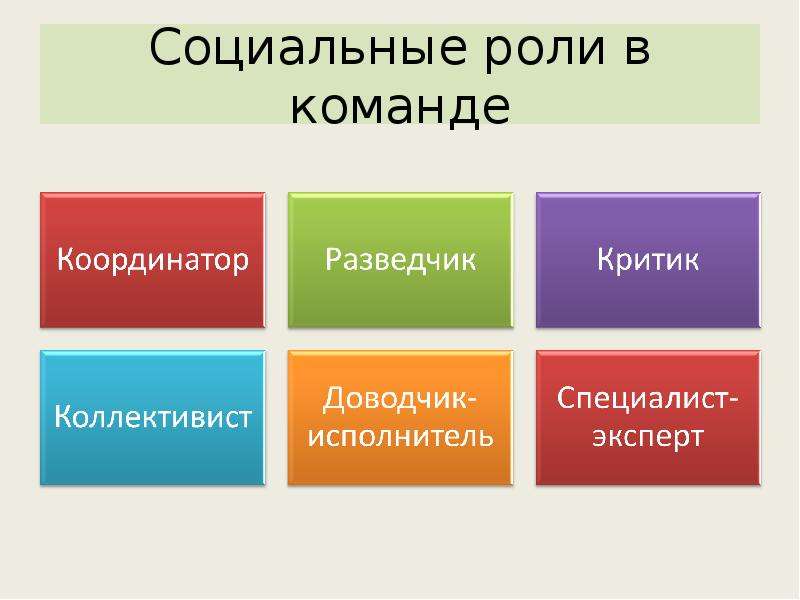 Проект социальный координатор