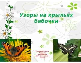 Узоры на крыльях бабочки