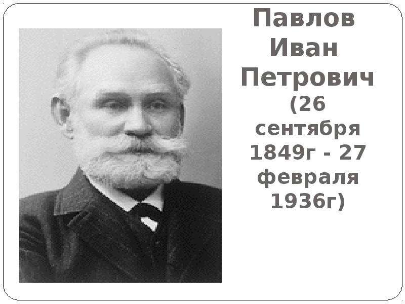 Иван петрович павлов презентация на английском языке