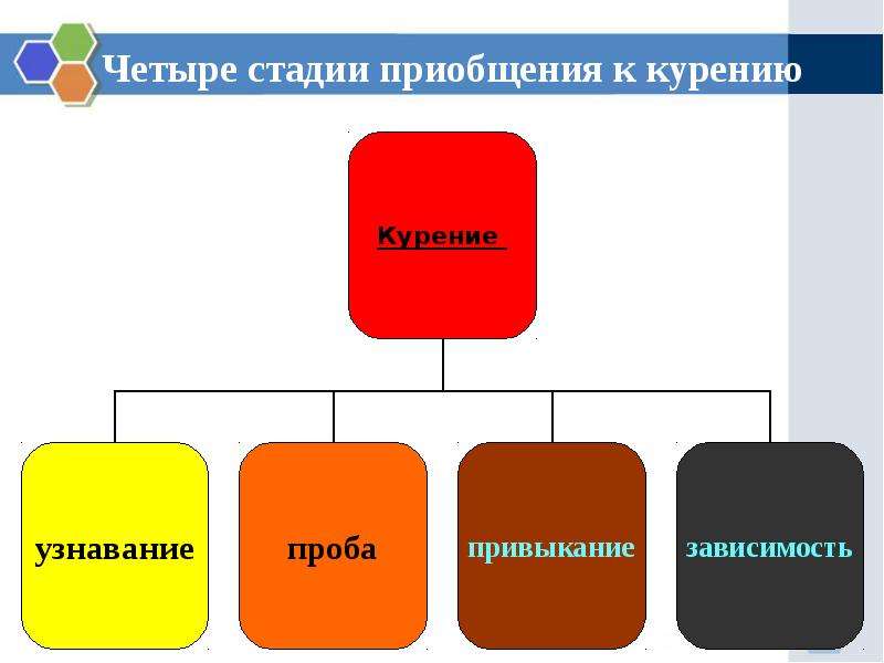 Четыре степени. Название второй стадии приобщения к табакокурению. Четыре стадии. 4 Этапа. Четыре стадии продавца.