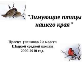 Зимующие птицы нашего края 2 класс