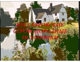 Куселяровские сероводородные источники