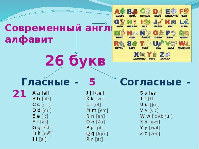 Английский алфавит сколько букв. Гласные в английском алфавите 2 класс. Гласные звуки в английском алфавите. Гласные английского алфавита таблица. Алфавит английского языка гласные и согласные буквы.