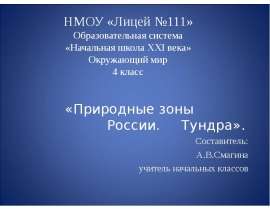 Природные зоны России. Тундра (4 класс)