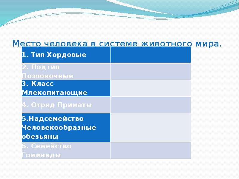 Презентация происхождение человека 9 класс. Место человека в системе животных. Место человека среди млекопитающих.