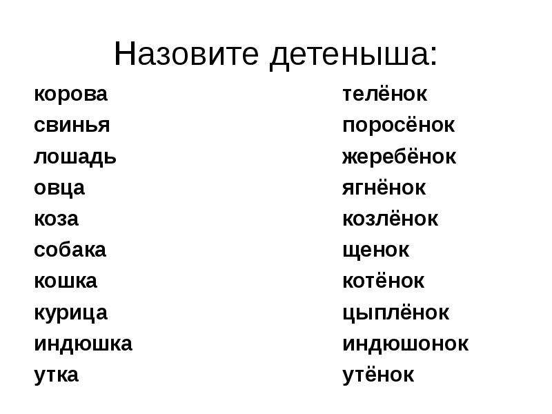 Как называется детеныш. Клички поросят мальчиков. Как назвать теленка. Кличка цыпленка. Имя для свиньи.