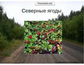 Скачать презентацию Северные ягоды