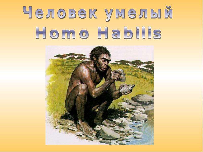Человек умелый Homo Habilis, слайд 1