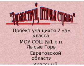 Здравствуй, птичья страна