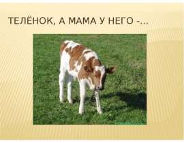 Как зовут
