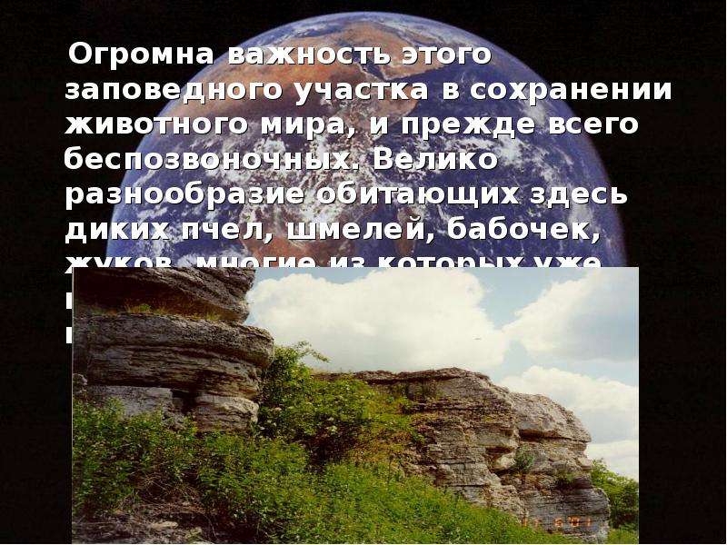 Важность это. Презентация Галичья гора Липецкая область. Великое многообразие. Галичья гора заповедник эмблема. Галичья гора проект 6 класс.