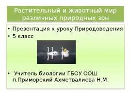 Природные зоны Земли (5 класс)