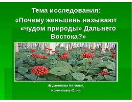 Почему женьшень называют «чудом природы» Дальнего Востока?