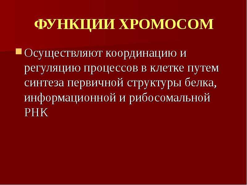 Роль хромосом. Функции хромосом. Функции функции хромосом. Структура и функции хромосом презентация. Хромосомы особенности функции.