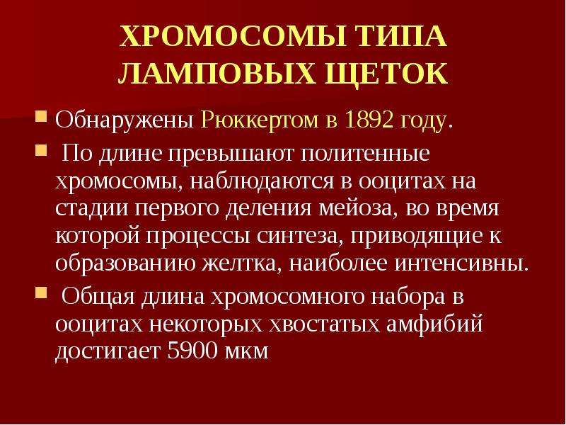 Функции хромосом. Хромосомы типа ламповых щеток функции. Функции хромосом кратко. Хромосомы строение и функции.