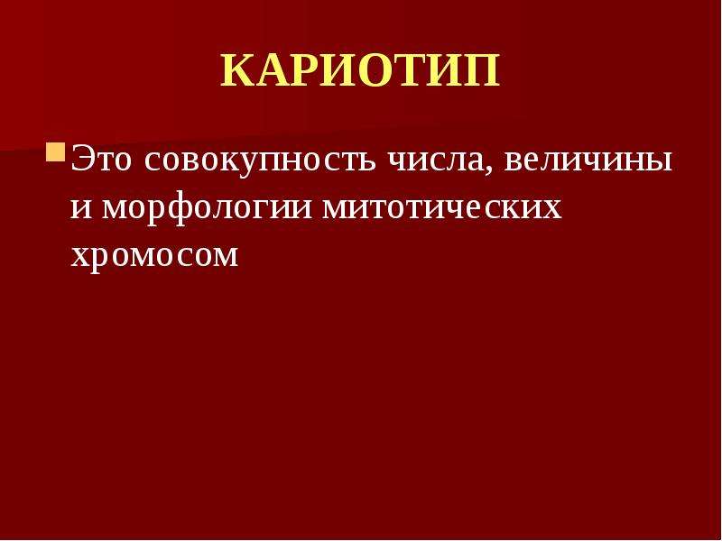 Структура и функции хромосом презентация