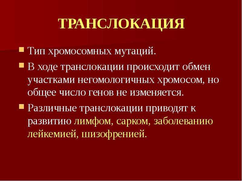 Структура и функции хромосом презентация